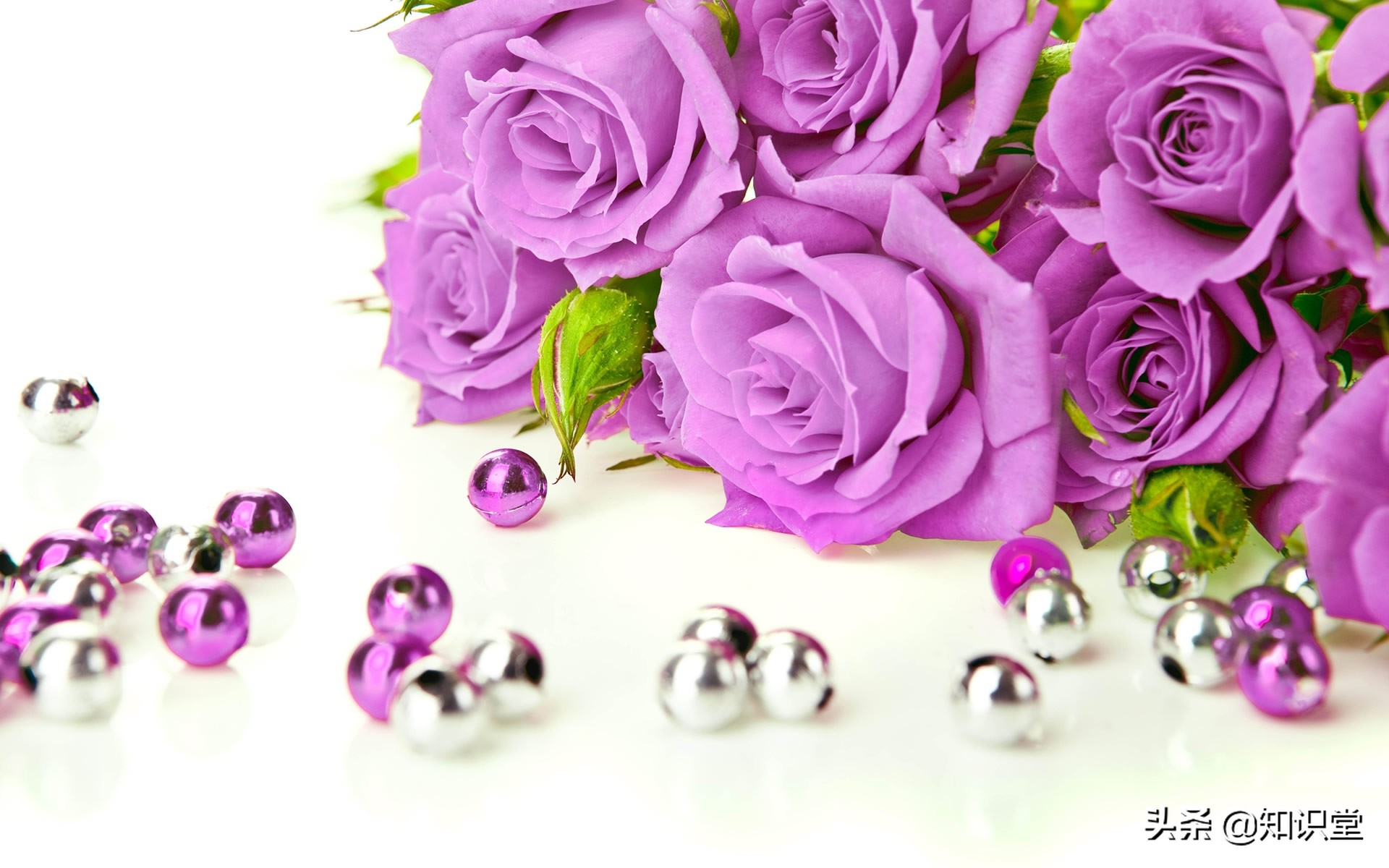 情人节送女生的情话暖心短句,情人节最新祝福语送给你