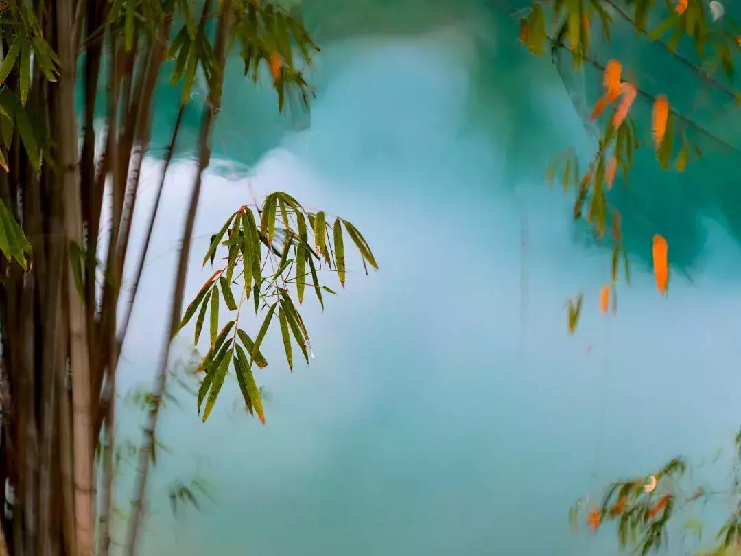 禅意水墨画拍摄技巧,摄影如何拍出水墨画