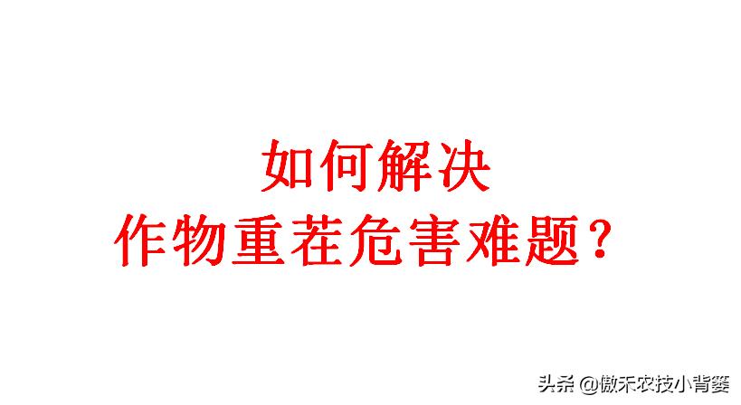 防治作物重茬最直接的方法,作物重茬种植危害及解决办法