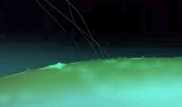 微信美国最新消息,微信在美国最新消息