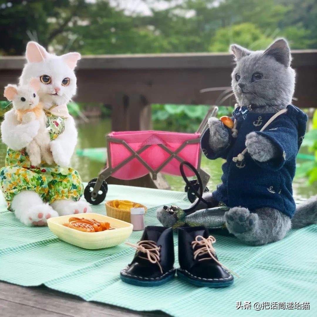 日本网红猫包,日本网红猫咪包