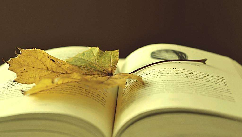 英语标点的用法及举例说明,英语中标点符号的用法大全