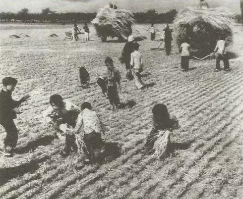 感觉受到父母侮辱,来自父母的打击跟羞辱