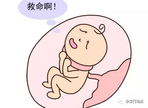 孕期周刊，第三十三周