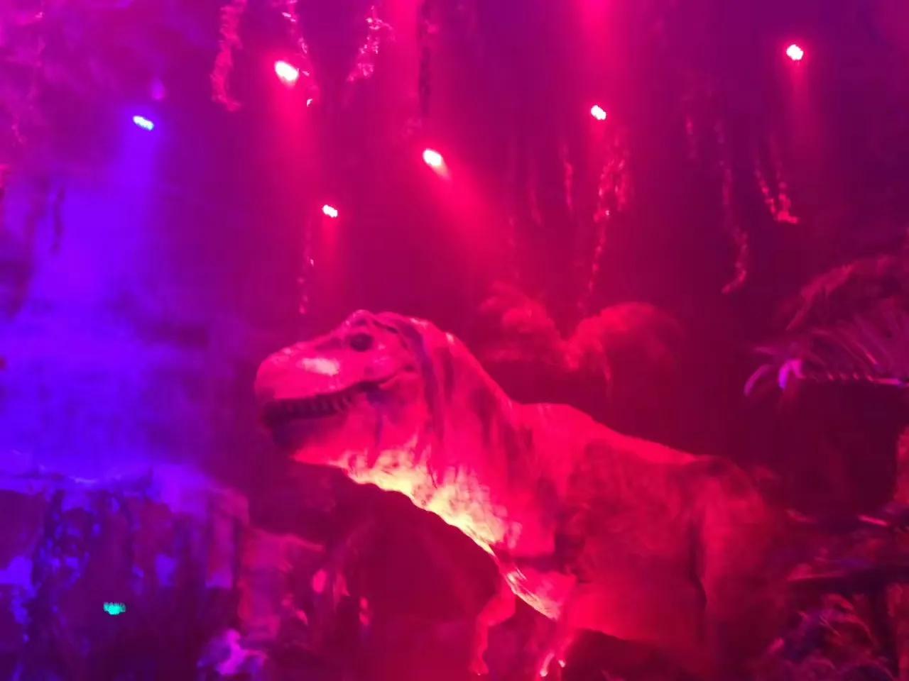 广州长隆野生动物园最全游玩攻略,长隆野生动物园游玩攻略