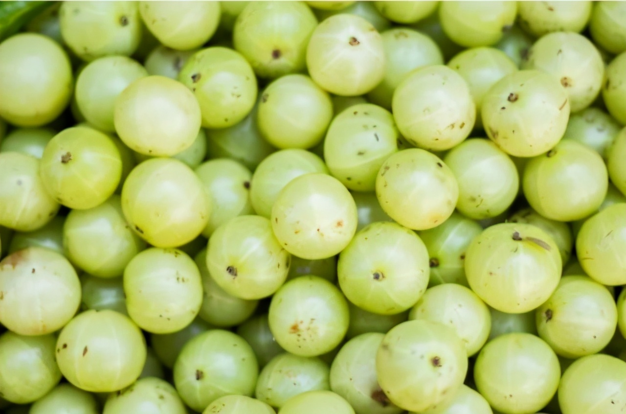 哪个玉油柑饮品好喝,玉油柑饮料到底什么味道