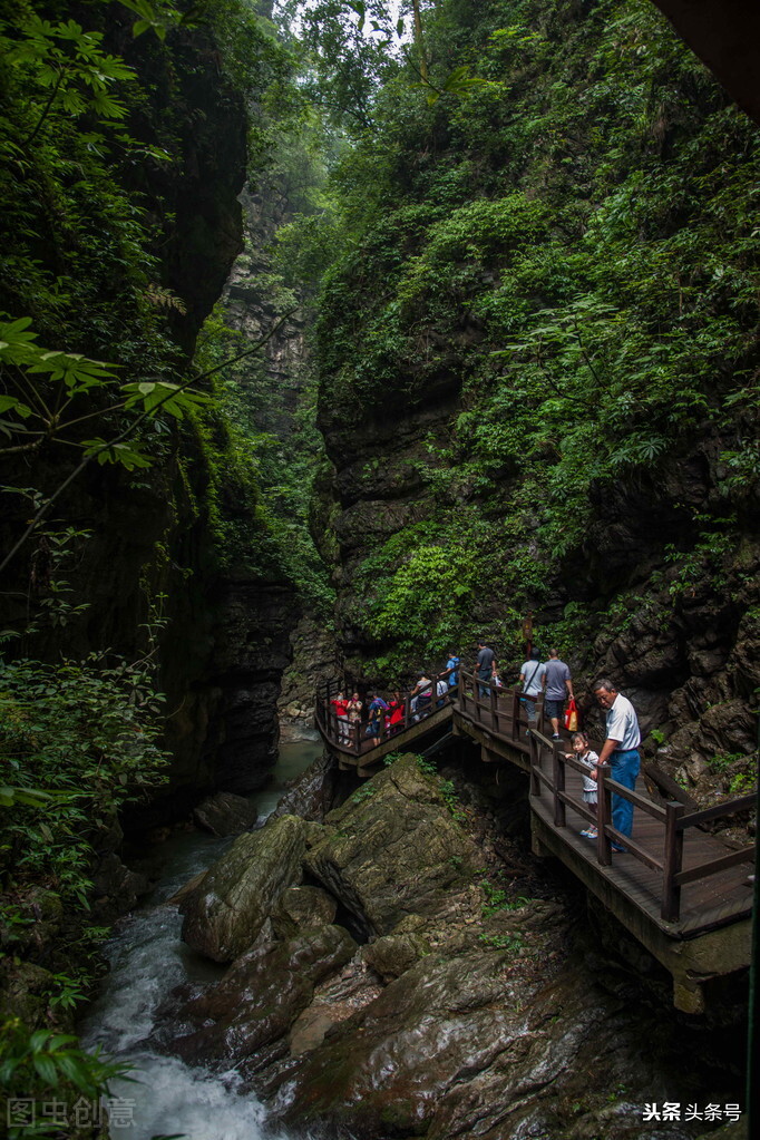 旅途心语,旅途心语最新视频