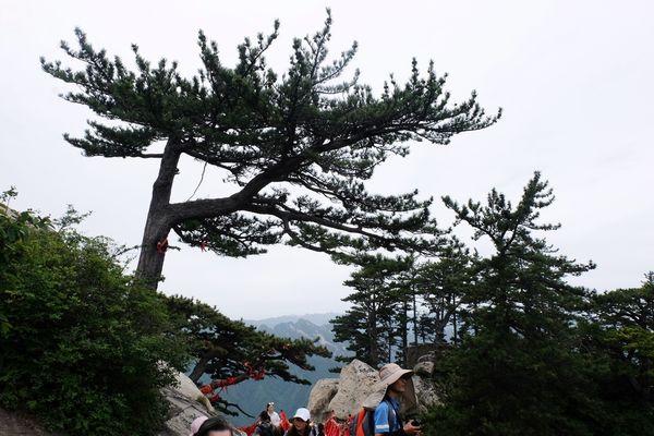 西岳华山五峰风景,华山一日游西安出发路线推荐