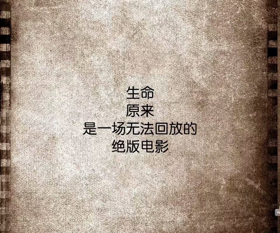 露天电影院歌曲,露天电影院加盟