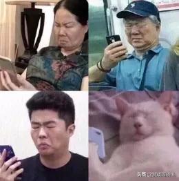 gys是什么游戏,游戏里gyg是什么意思