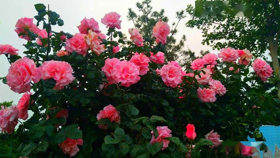 90后小伙年赚200万的绝招开超市,90后小伙开餐馆致富