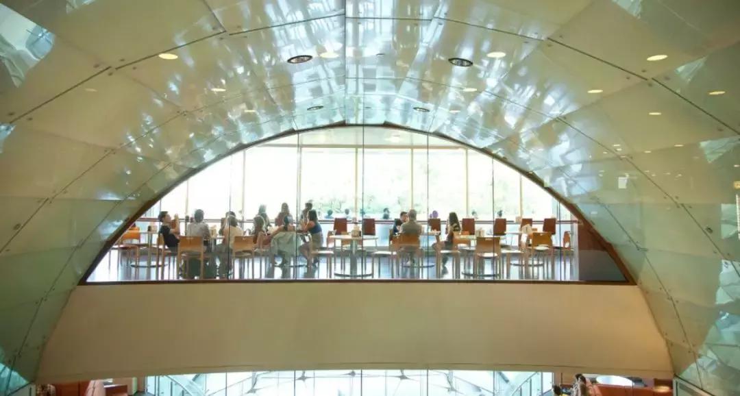 努力考进了纽约大学,我却输在了美国大学“起跑线”上