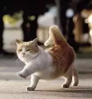 明星的水光针靠谱吗,打水光针到底靠不靠谱