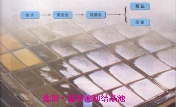 化学初中酸碱盐教学视频,九年级化学酸碱盐知识点