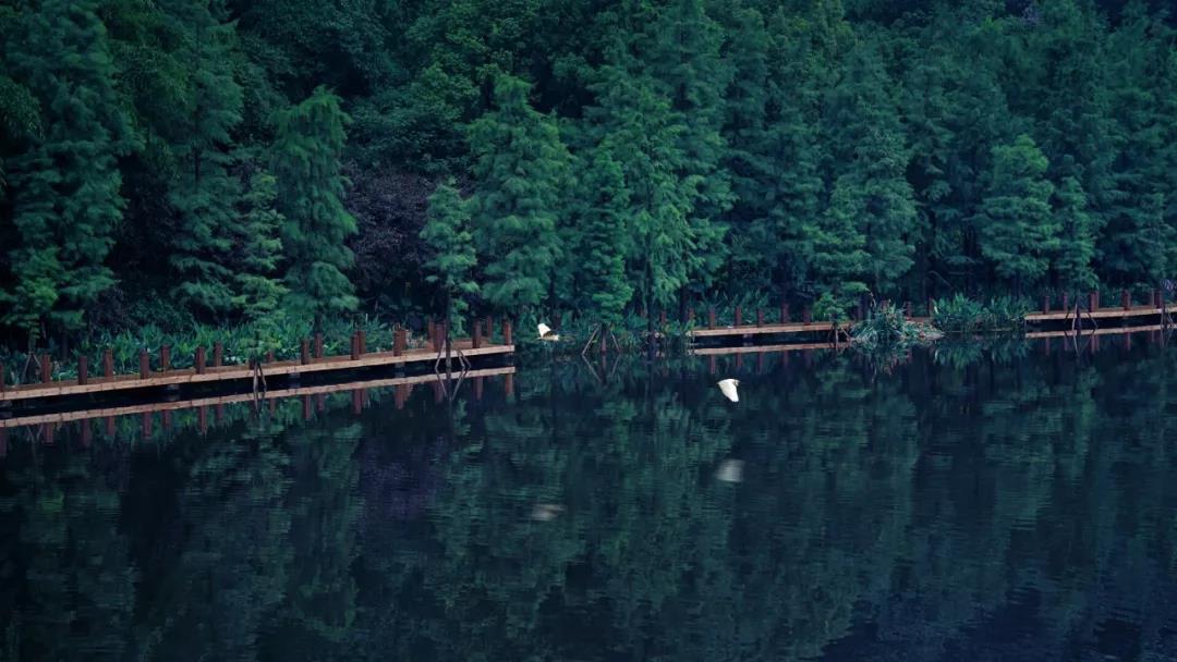 兴盛千年的九龙坡，下一个居住样本在哪里？