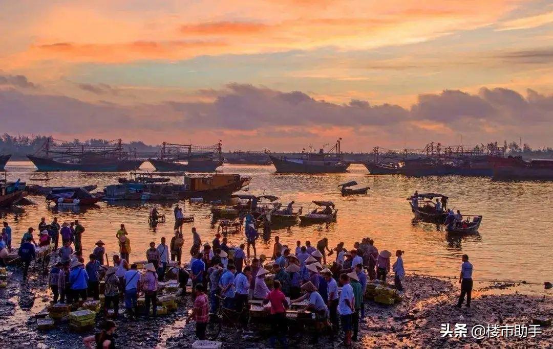 八月活动指南｜在夏日海边的音乐航线中，漫游星际银河