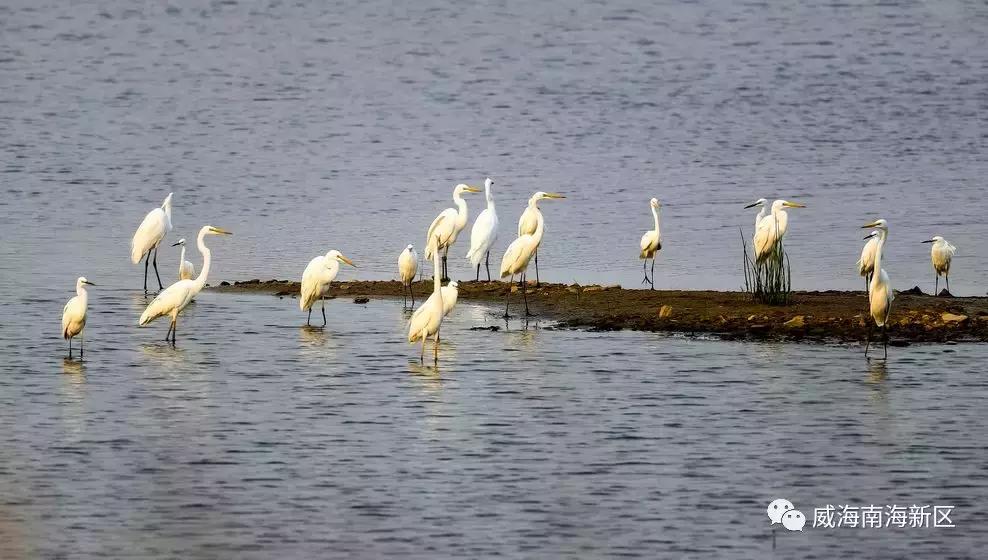 威海南海家园,威海南海新区最具幸福感城市