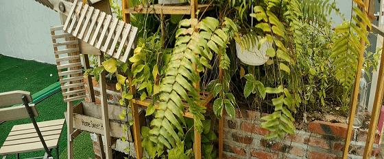 思锐电影镜头怎么样,思锐广角镜头拍摄视频