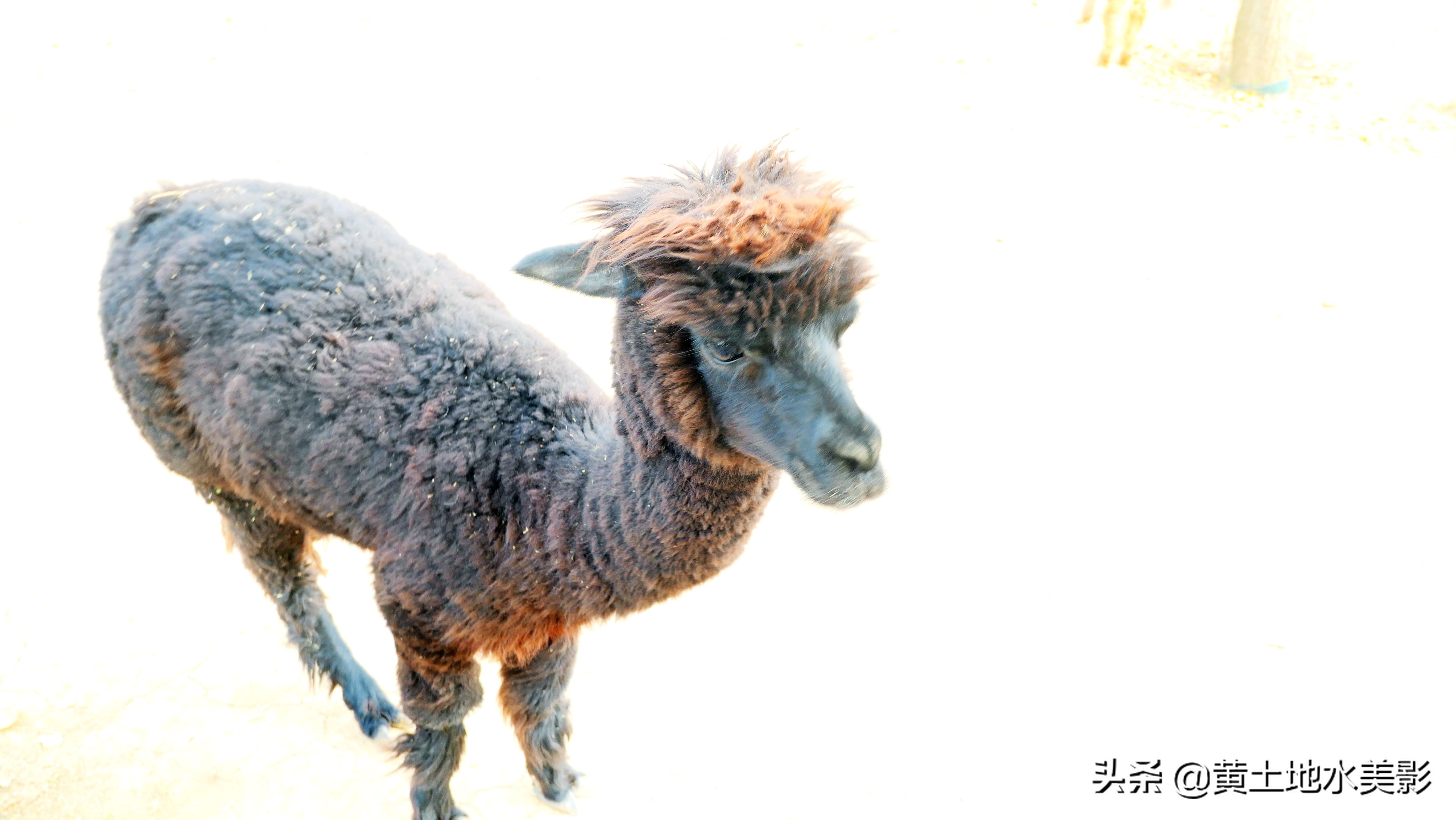 免费游玩东湖公园攻略,免费湿地公园游乐景点