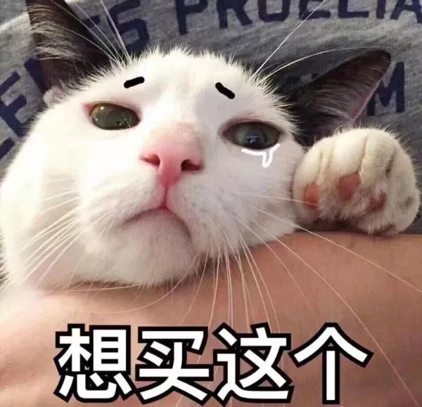 今年秋冬大牌的口红复古红,gucci蓝管最热色口红推荐