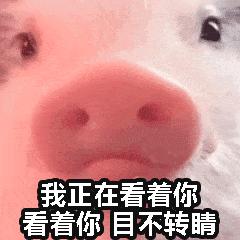 五个学习软件免费自学,骨灰级自学网站推荐