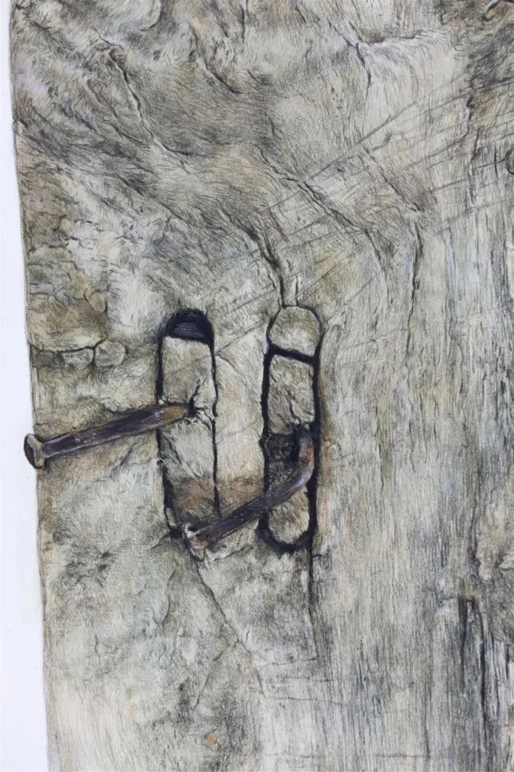 央美vs985,鲁美附中精微素描作品欣赏