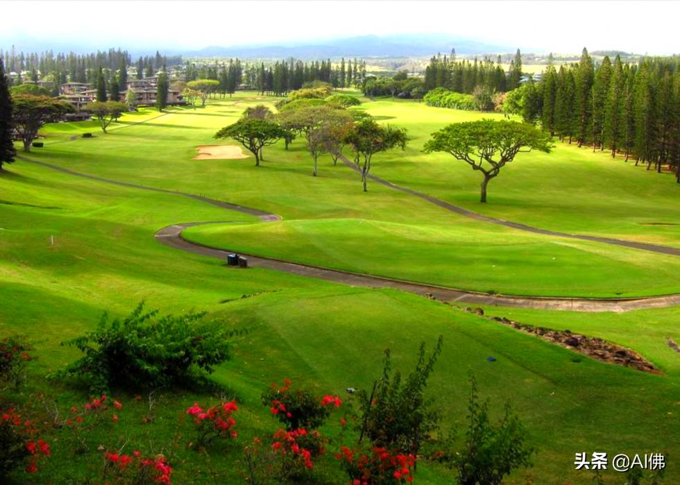 美国哪几个州适合打高尔夫,美国加州最著名的高尔夫球场
