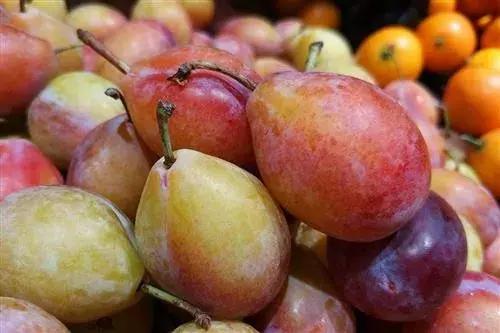 买西梅挑选啥样子的是不酸的,怎么挑选酸甜可口西梅