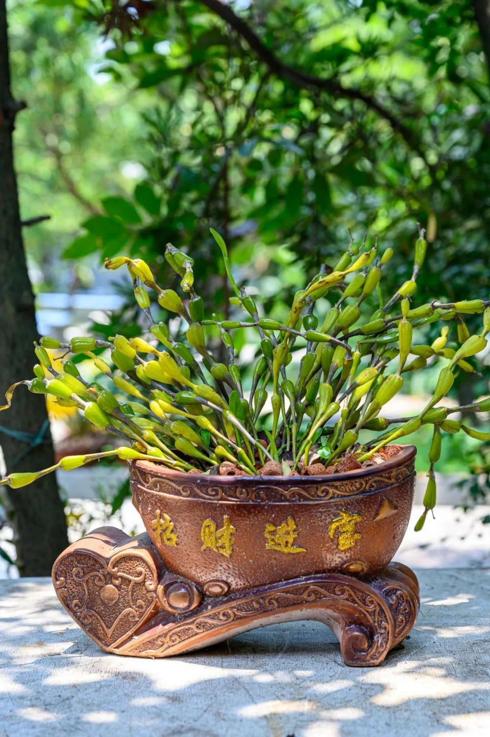 奶奶做豆沙糕视频,奶奶做巧克力奶茶