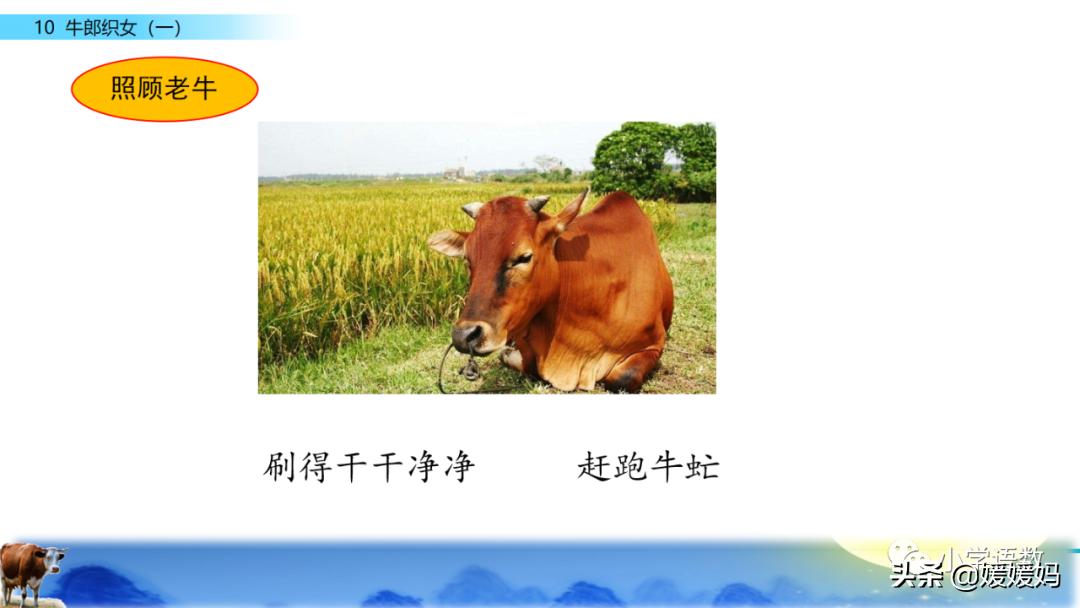 部编版五年级语文上册牛郎织女题,五上语文牛郎织女第10课ppt