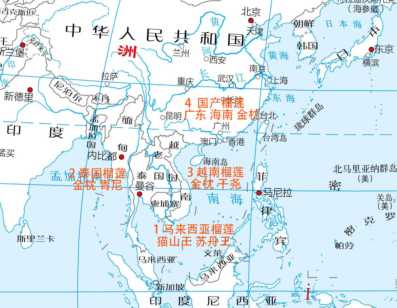 榴莲是不是热带水果之王,热带水果榴莲视频