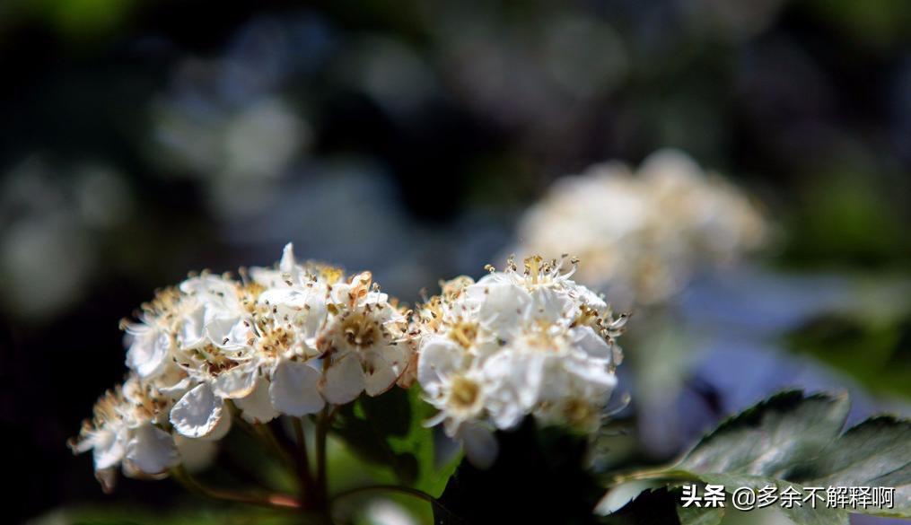 拥有乐观的心态和快乐的心境,乐观的心态对身体健康的好处