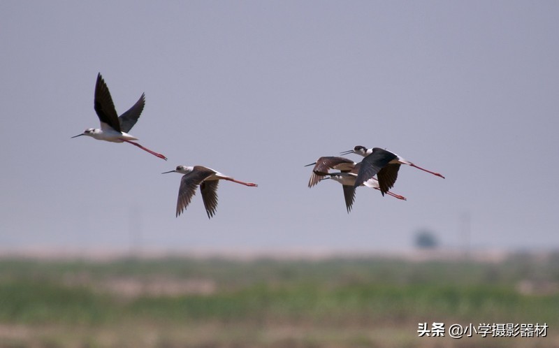 既能拍人像又能拍风景的镜头佳能,尼康80-400vr防抖全画幅镜头评测