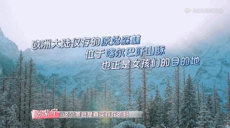 欧洲治安最好城市排名,欧洲环境治安都好的国家