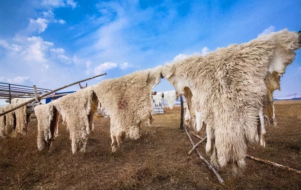 鹅城记忆作坊篇皮铺皮革制品和皮衣