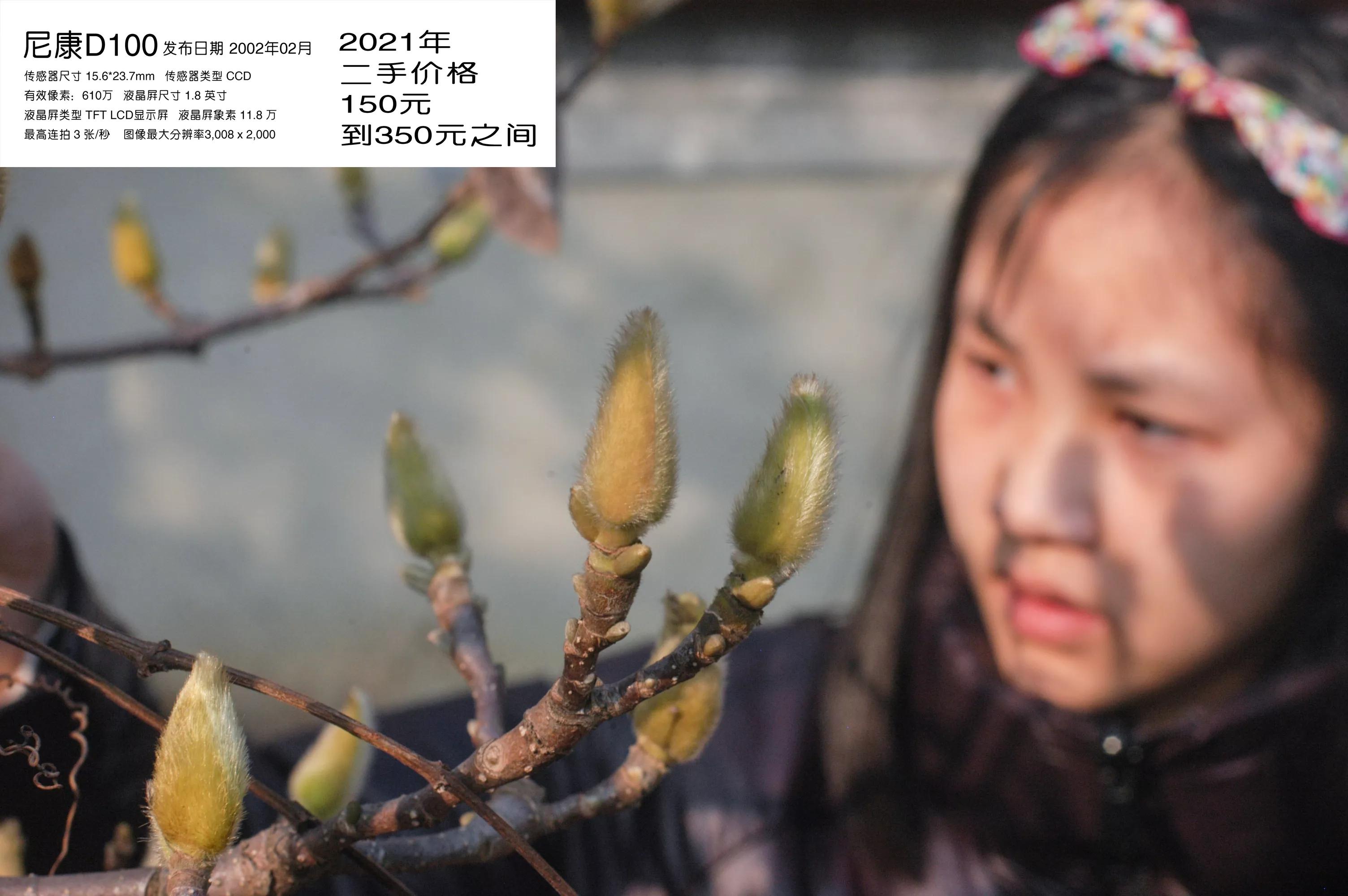 去学摄影花费2w到底值不值得,想学摄影不知道从哪里入手