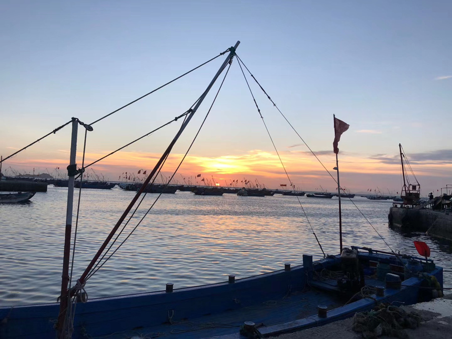 枸杞岛海岛旅游,美丽的枸杞岛之旅