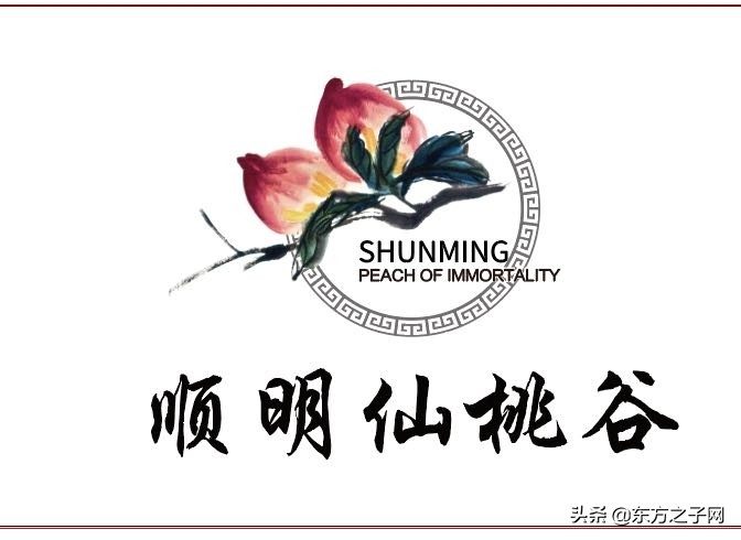 河北灵寿：春风十里仙桃谷