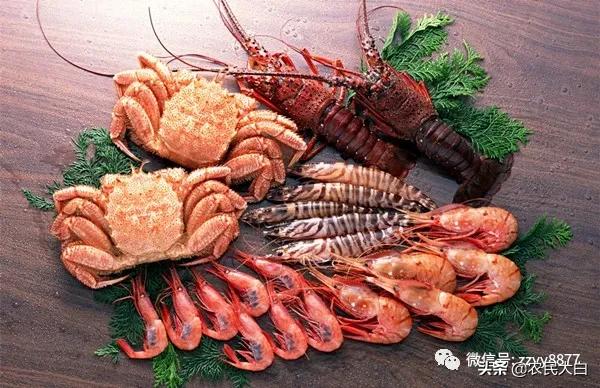 不准吃野生动物,禁止吃野味