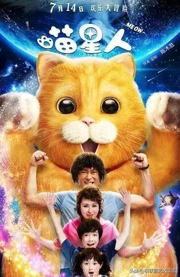 铲屎官必看的9部猫咪电影,铲屎官喵星人