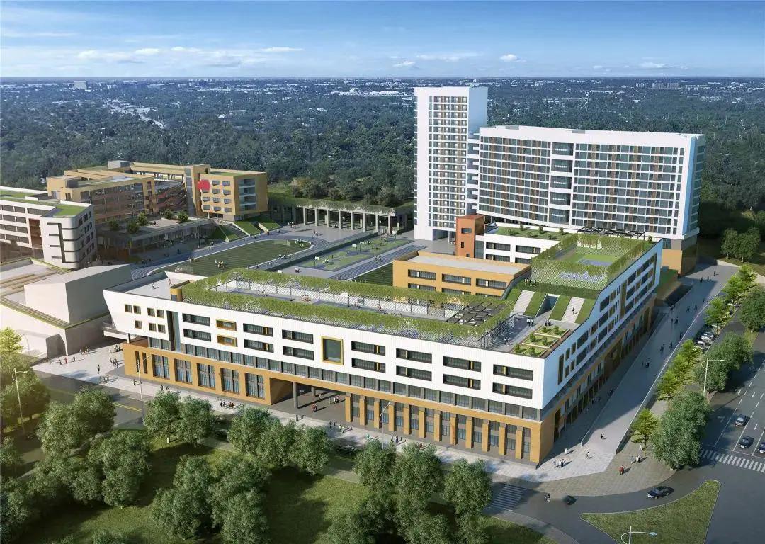 深圳的四大八大是哪些学校,深圳八大高中录取人数