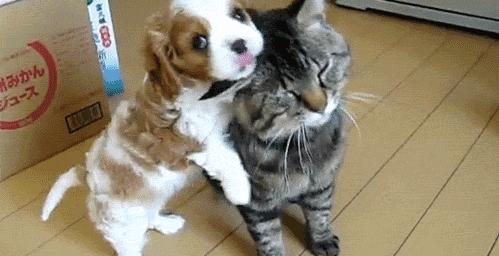 魏巍十大临床案例,魏巍临床经典案例