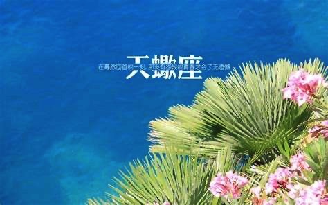 历经爱情才会真正强大的星座,揭秘注定不会被爱情辜负的星座