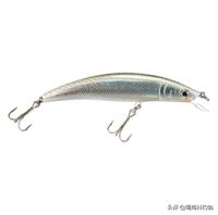 北美钓鱼入门技巧,加拿大钓鱼什么鱼饵最好