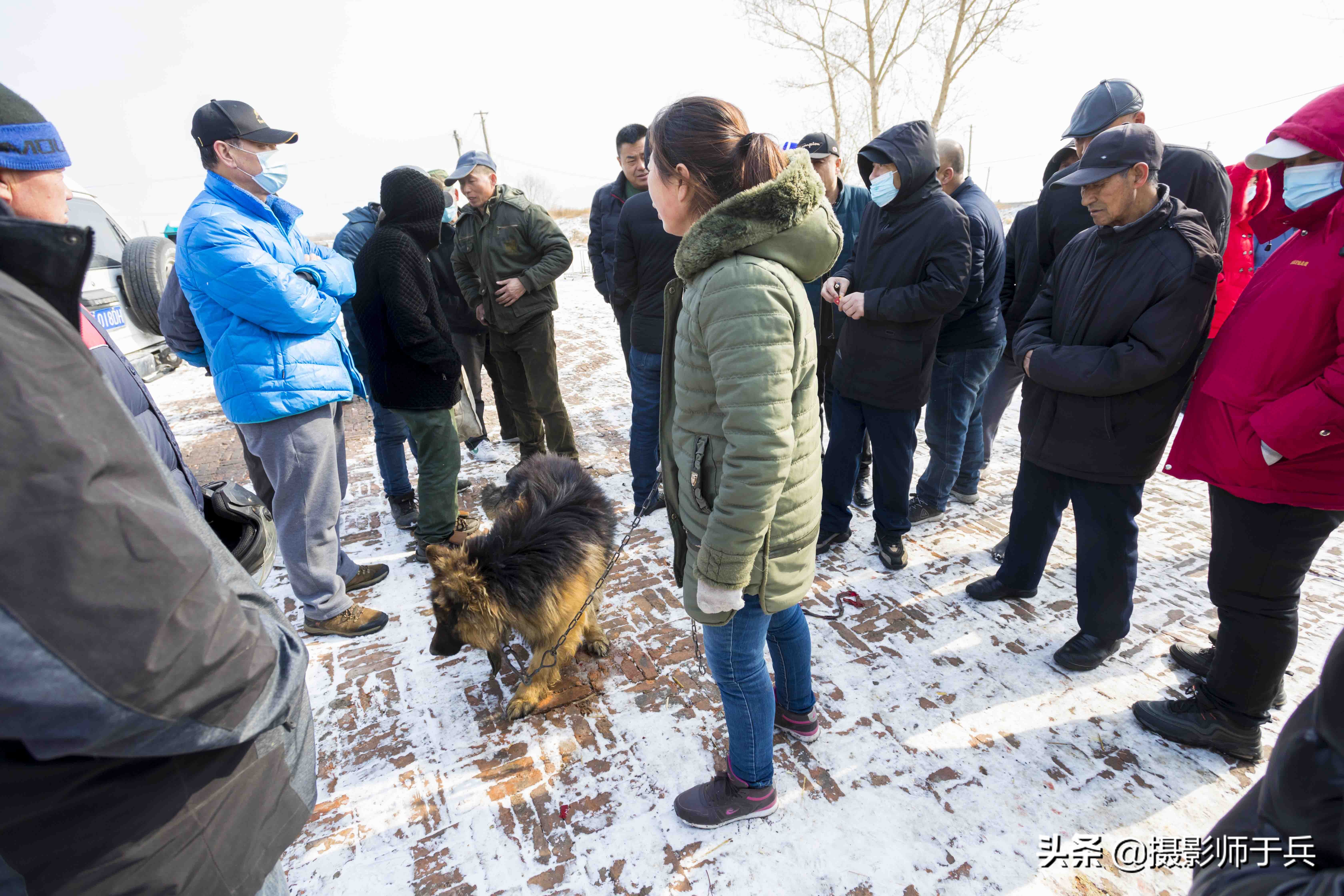 绥化安达狗市,黑龙江省绥化故事之一