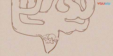 十人九痔长痔疮,十男九痔十女十痔是什么意思