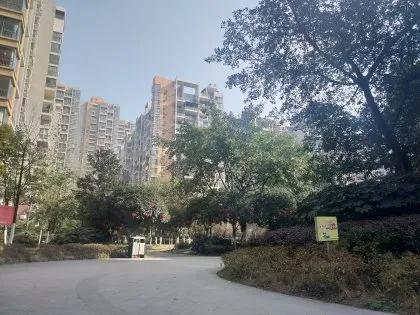 武侯区两自一包教育改革,两自一包改革最新消息