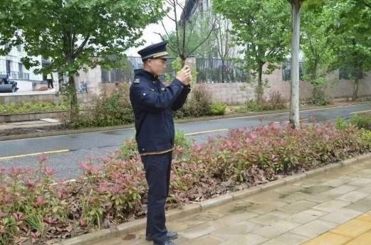 张壮壮考上研究生,协管员张壮壮考研4次终上岸