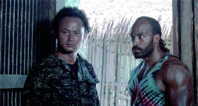 甄子丹十部巅峰动作片,甄子丹拍得最好的一部动作片