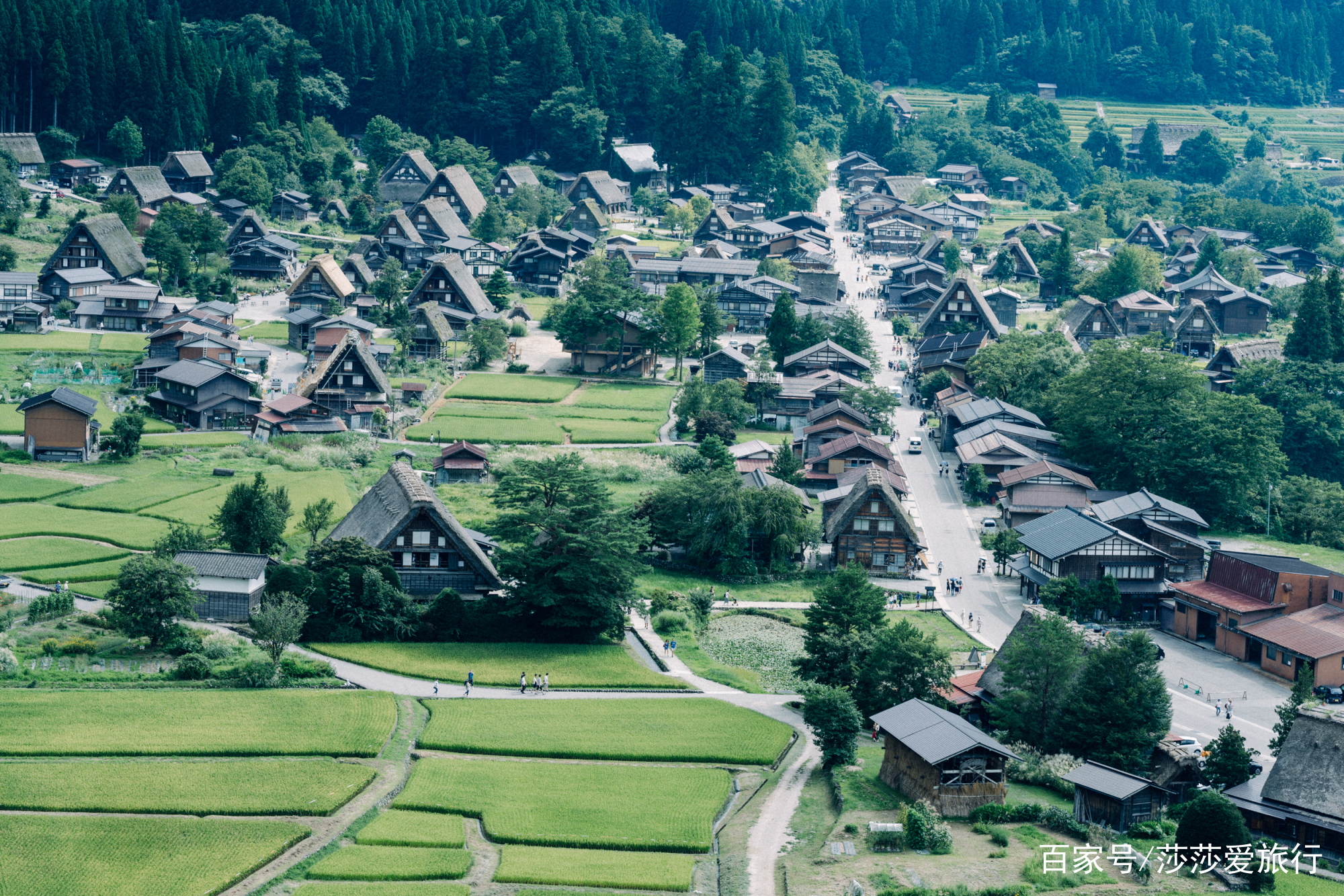 在日本中部的岐阜，发现不一样的日本